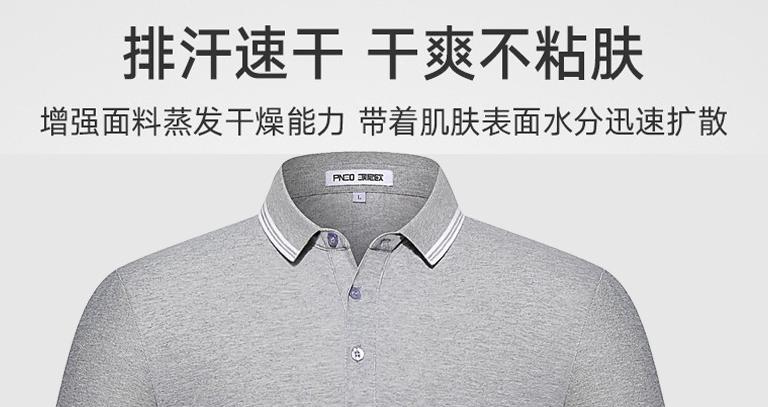 ���������@��Polo�����i������w�(y��n)